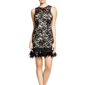 Aqua Black Lace dress with feather details